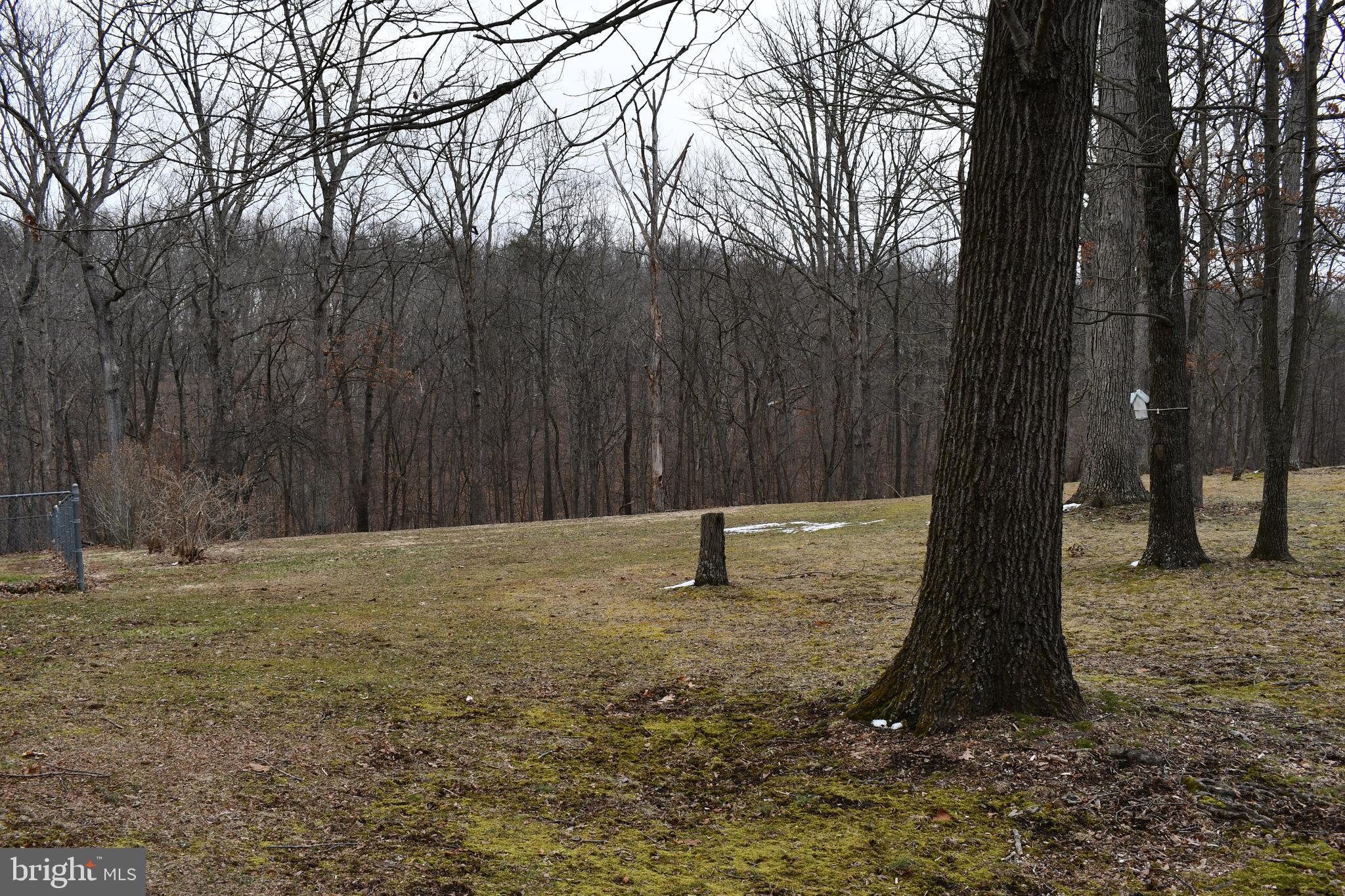 271 Monastery Ridge Road Stephenson, VA 22656 - Photo 77 of 89 View