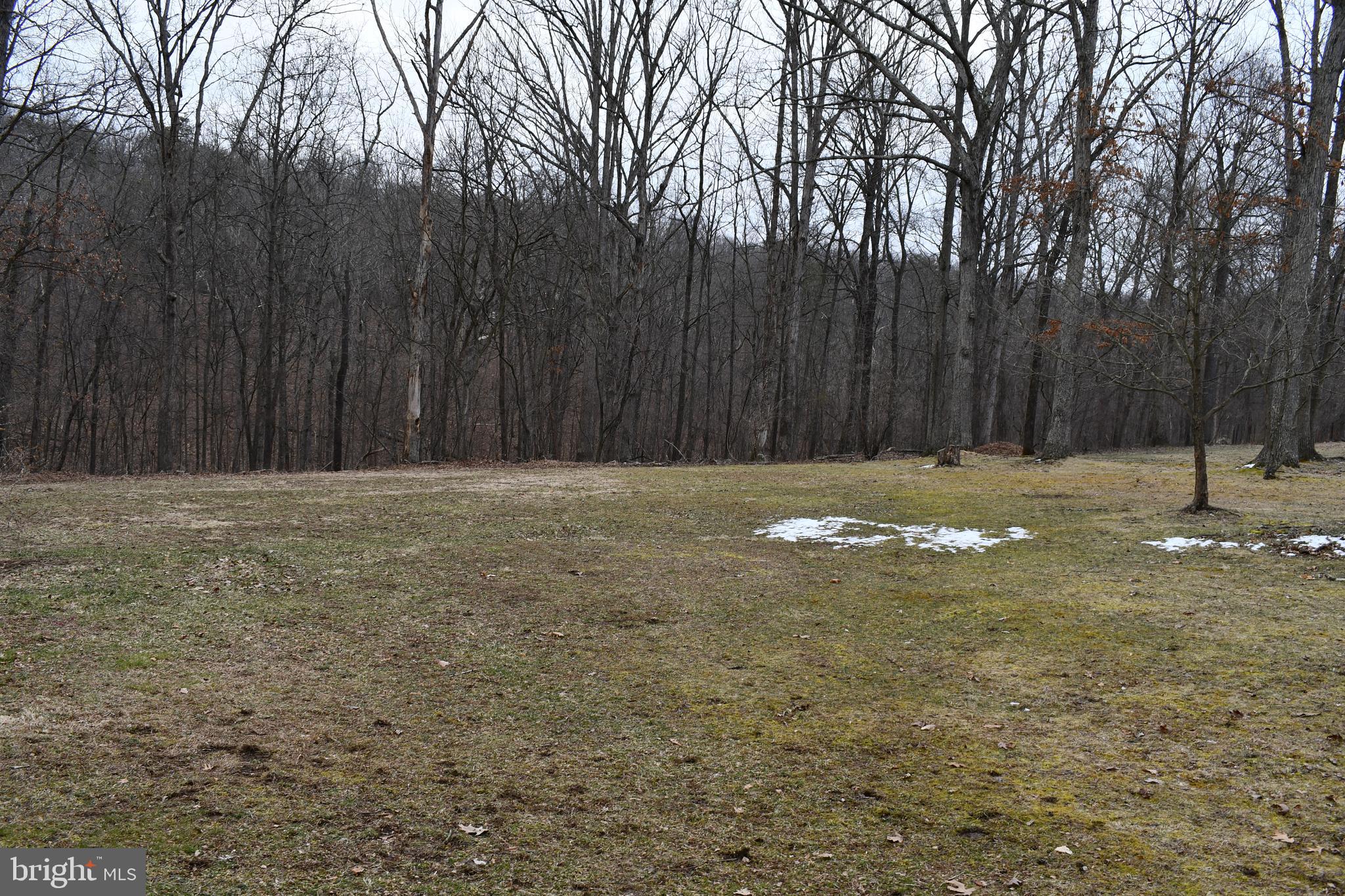 271 Monastery Ridge Road Stephenson, VA 22656 - Photo 78 of 89 View