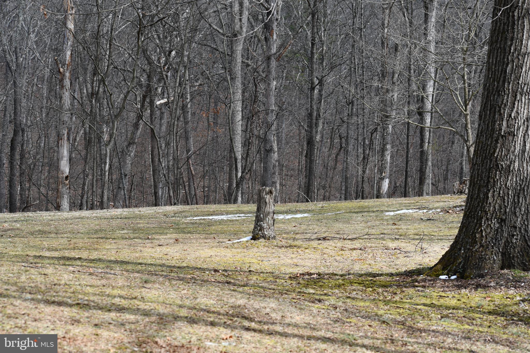 271 Monastery Ridge Road Stephenson, VA 22656 - Photo 86 of 89 View