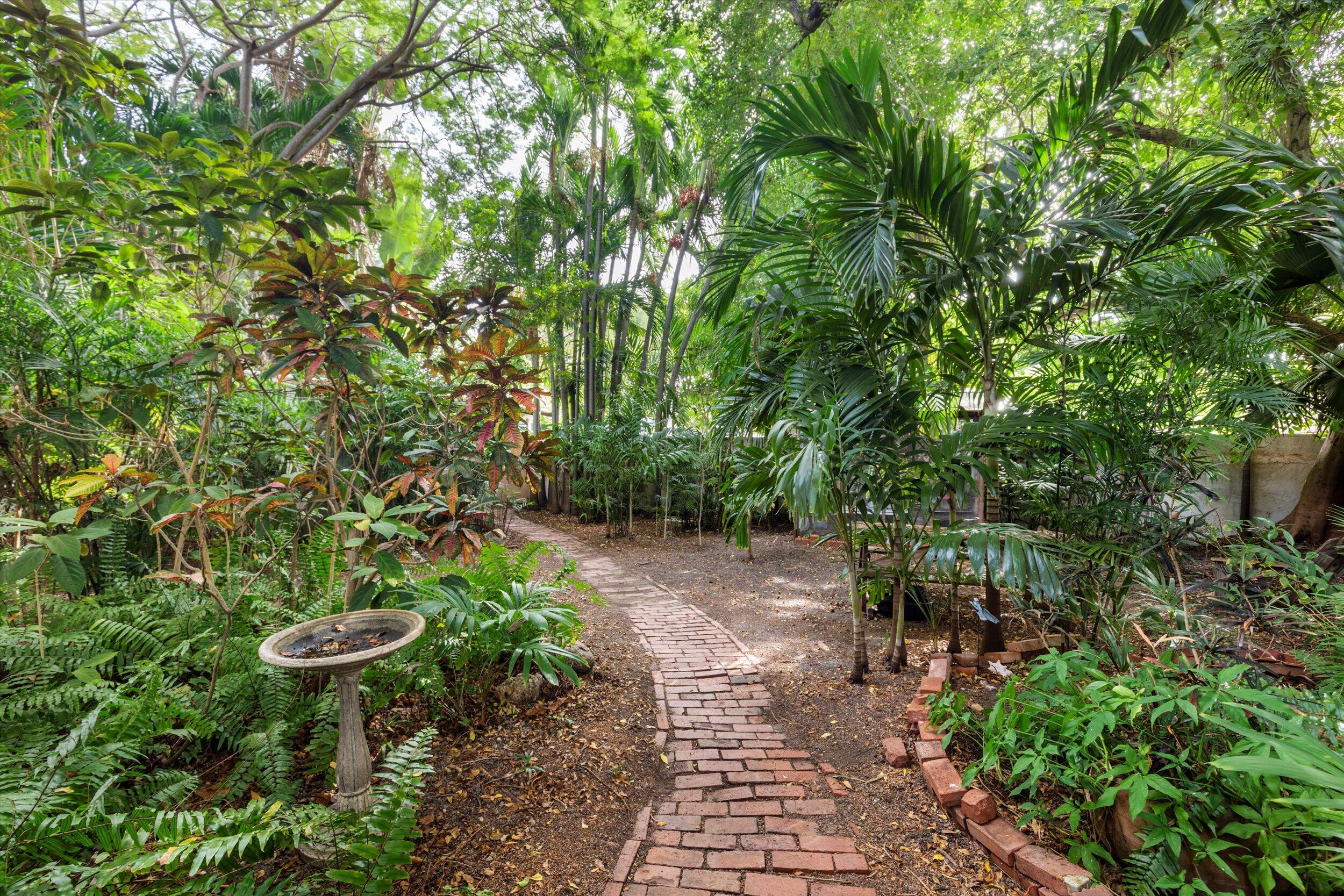 2914 Fogarty Avenue Key West, FL 33040 - Photo 33 of 44 a view of a garden with plants