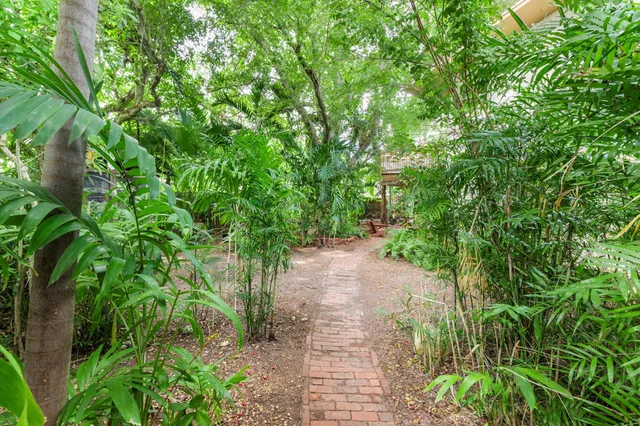 a view of a pathway both side of yard