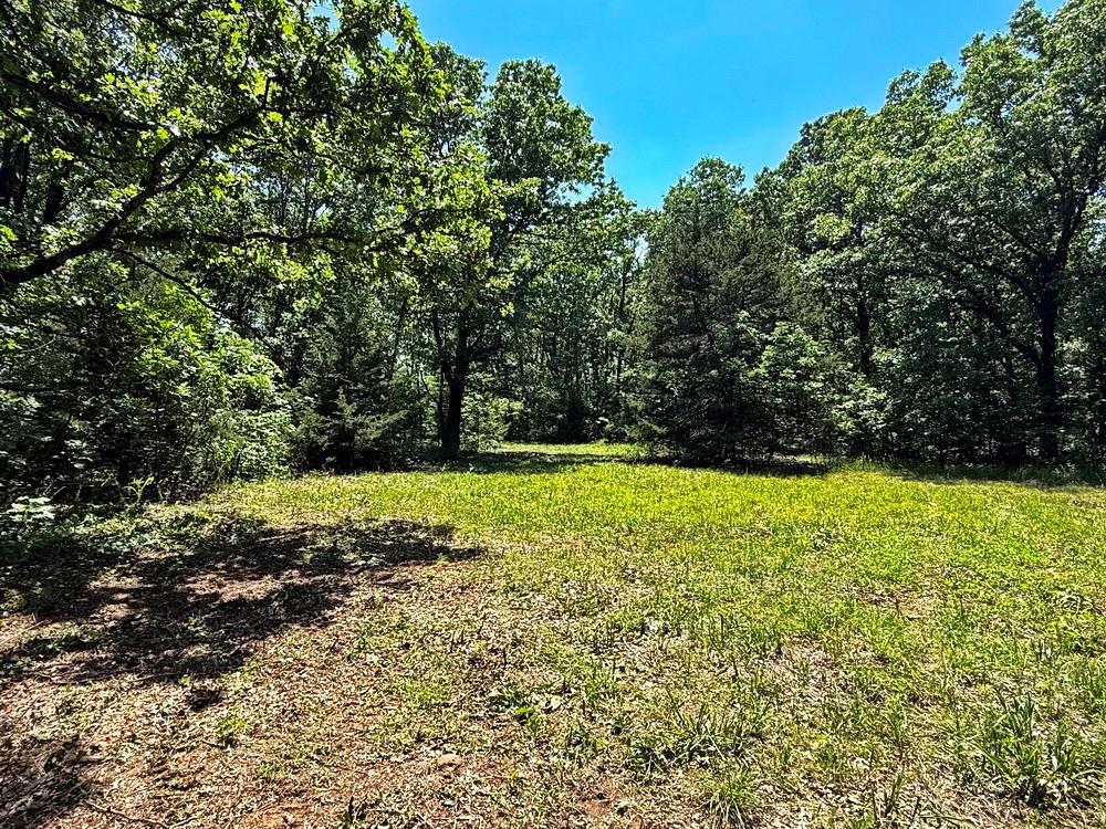 Tbd3 East 1550 Road Jerico Springs, MO 64756 - Photo 21 of 42