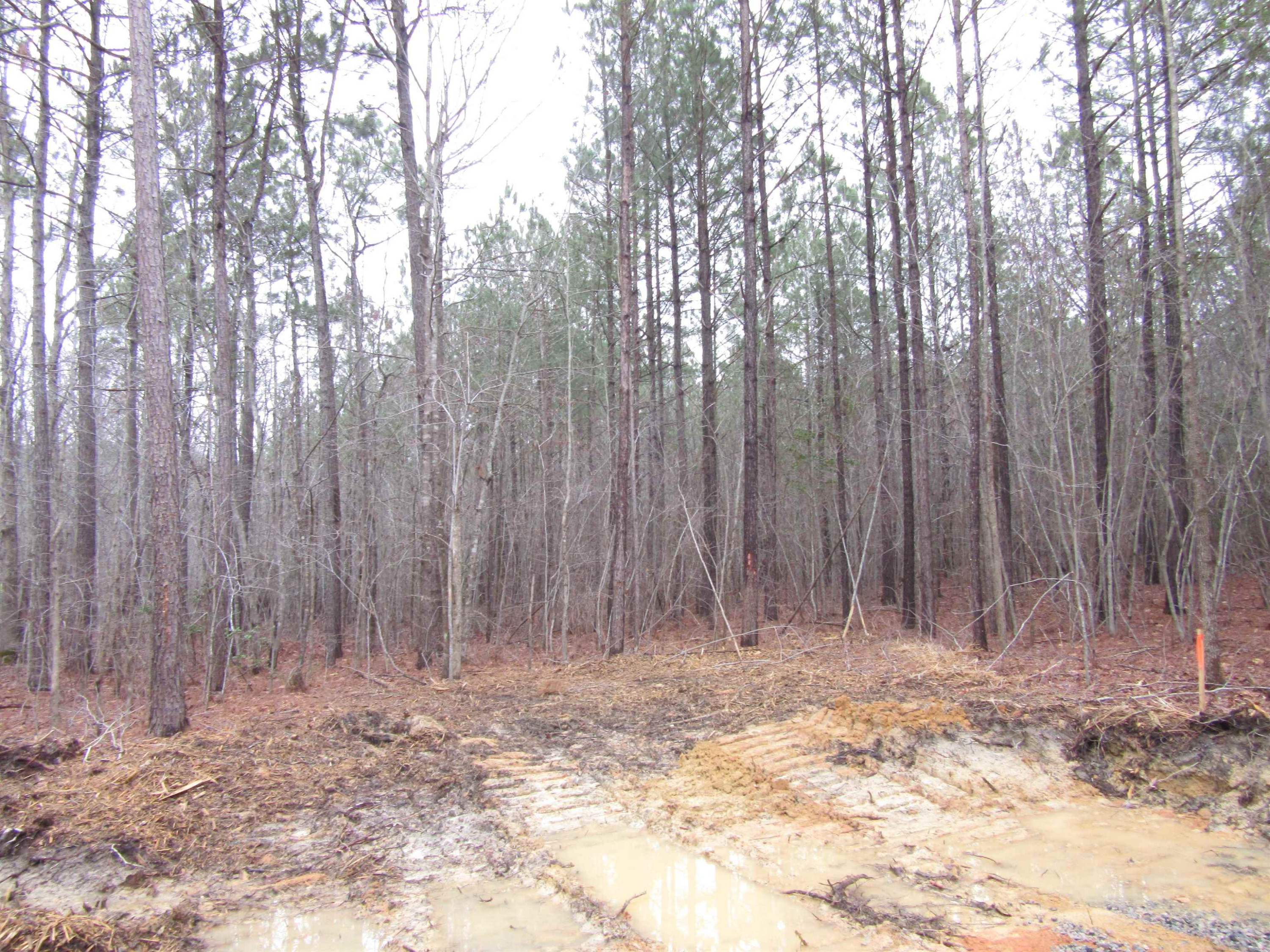 6 Nc 231 Hwy Spring Spring Hope, NC 27882 - Photo 5 of 5 Photo 5