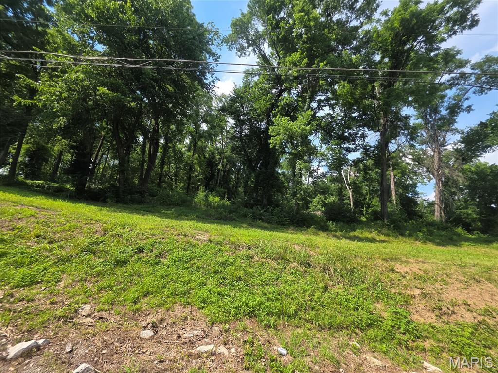 Xxx Briar Hill Road Belleville, IL 62223 - Photo 8 of 8
