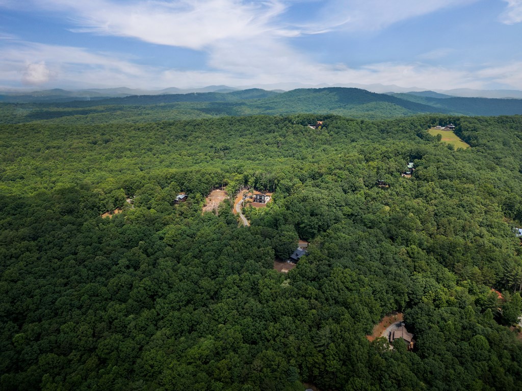 310 Wunder Bear Ridge Morganton, GA 30560 - Photo 46 of 54