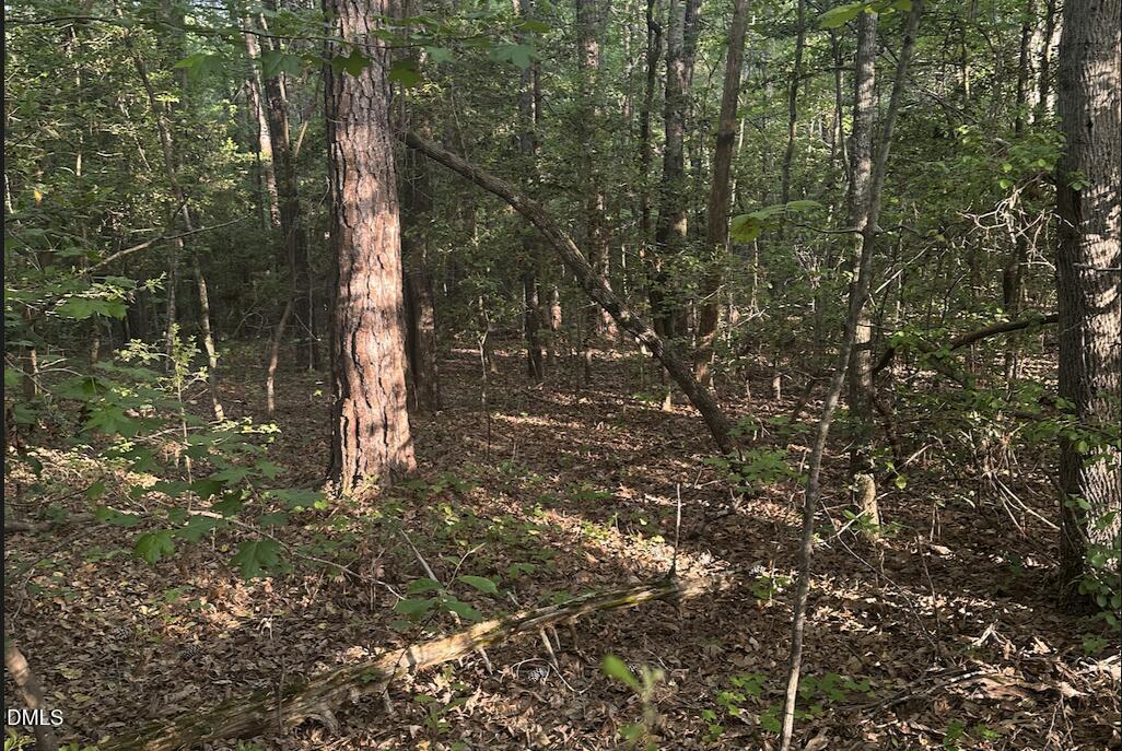 0 L L Cooper Road Cameron, NC 28326 - Photo 10 of 17