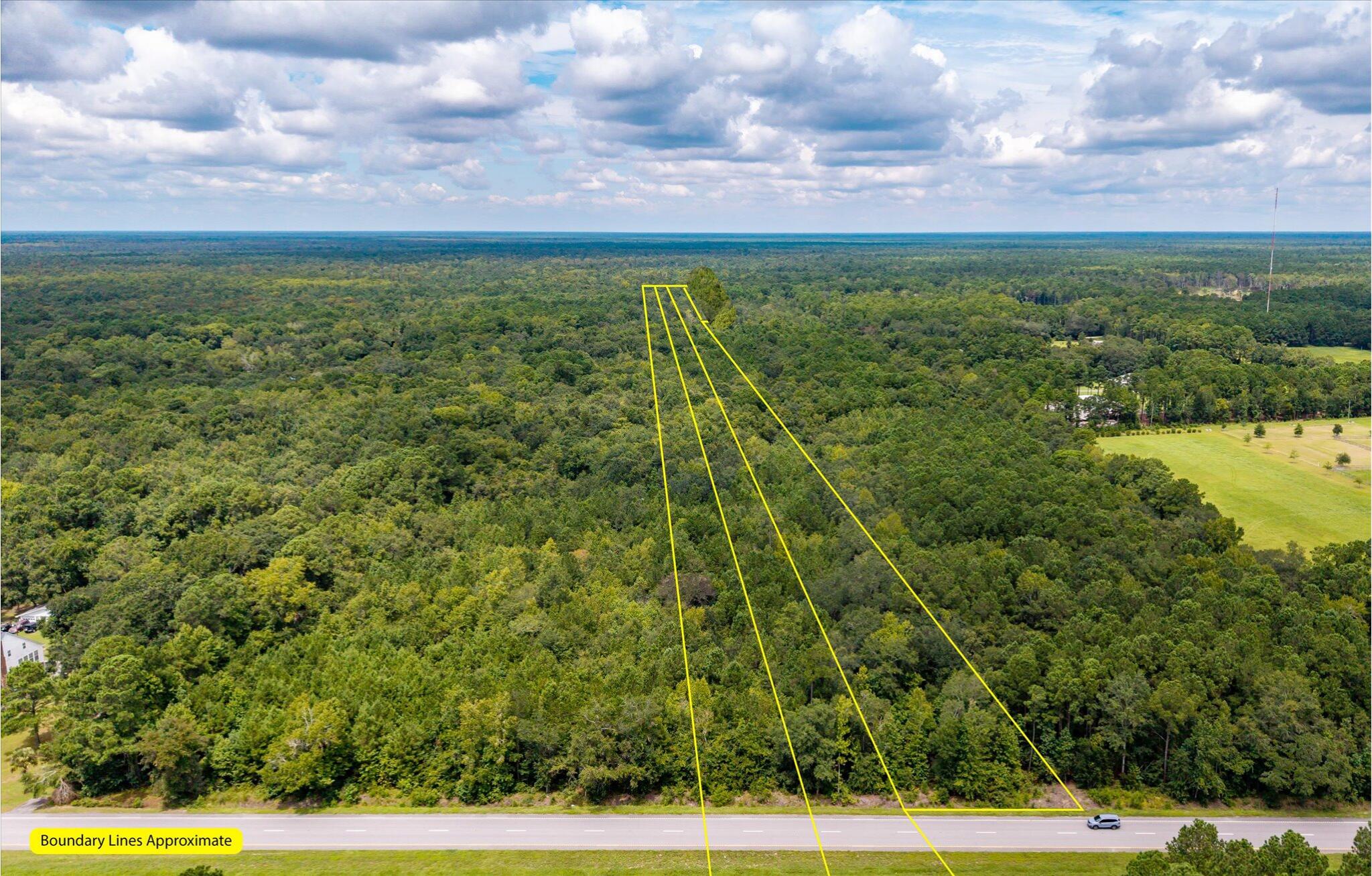 0 North Highway 17 McClellanville, SC 29458 - Photo 24 of 31 View from 17