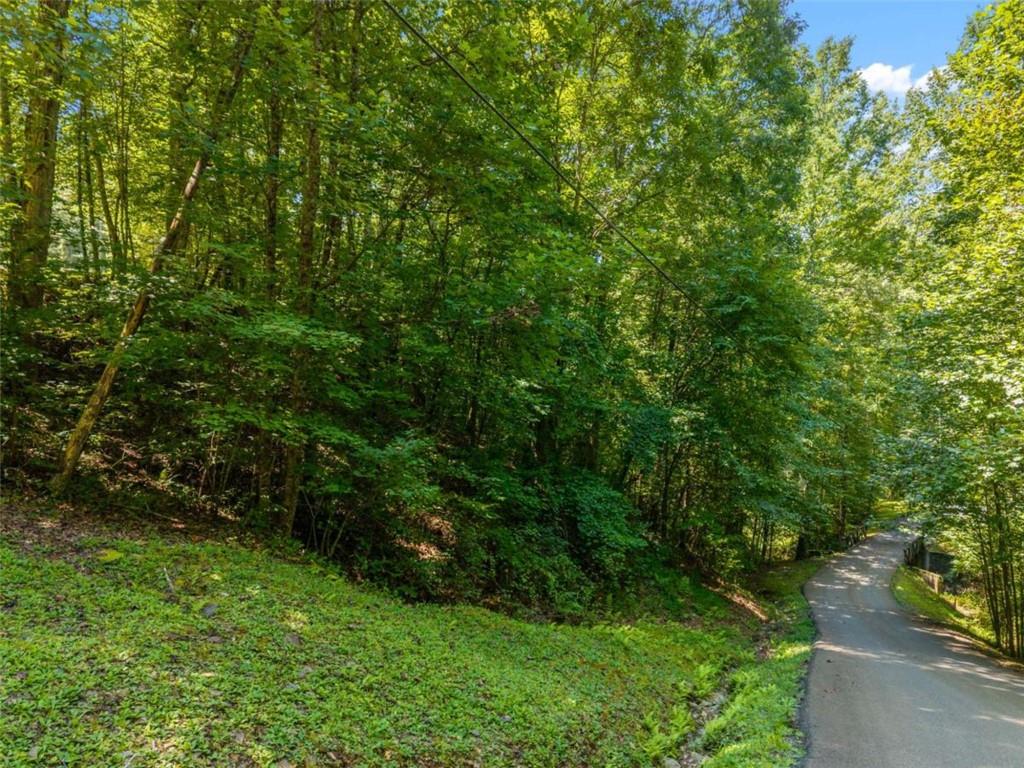 Lot26 Oak Rdg Way Ellijay, GA 30536 - Photo 12 of 40 Gallery Image 12