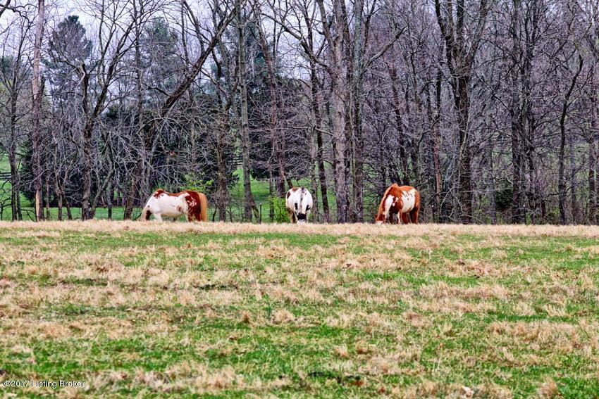 1970 Conner Station Road Simpsonville, KY 40067 - Photo 101 of 101 Img95