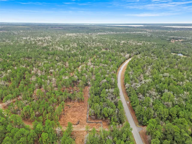 $8,200 | Tbd Tbd Urlene Lane, Oakhurst, TX 77359