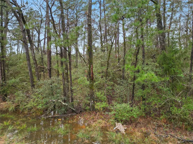 $8,200 | Tbd Tbd Urlene Lane, Oakhurst, TX 77359