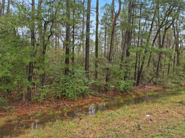 $8,200 | Tbd Tbd Urlene Lane, Oakhurst, TX 77359