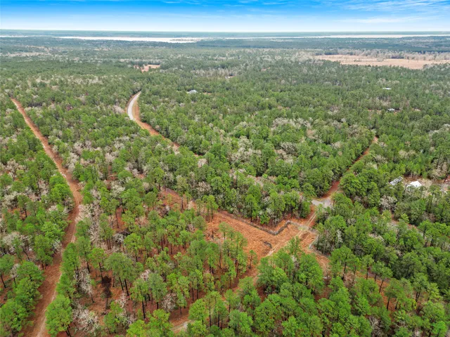 $8,200 | Tbd Tbd Urlene Lane, Oakhurst, TX 77359