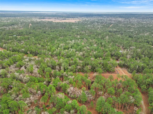 $8,200 | Tbd Tbd Urlene Lane, Oakhurst, TX 77359