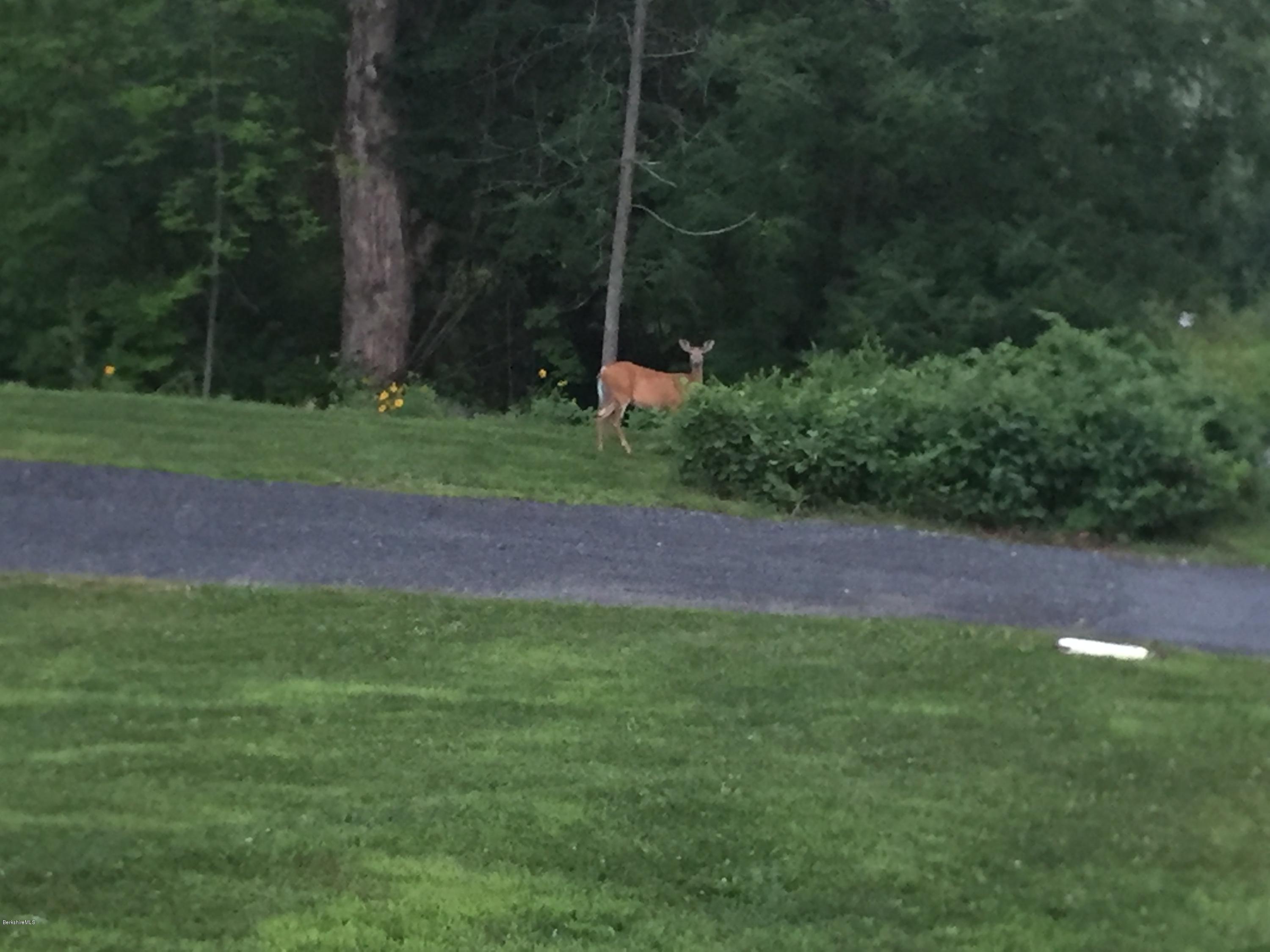 587 W Road Lee, MA 01238 - Photo 1 of 4 Main photo