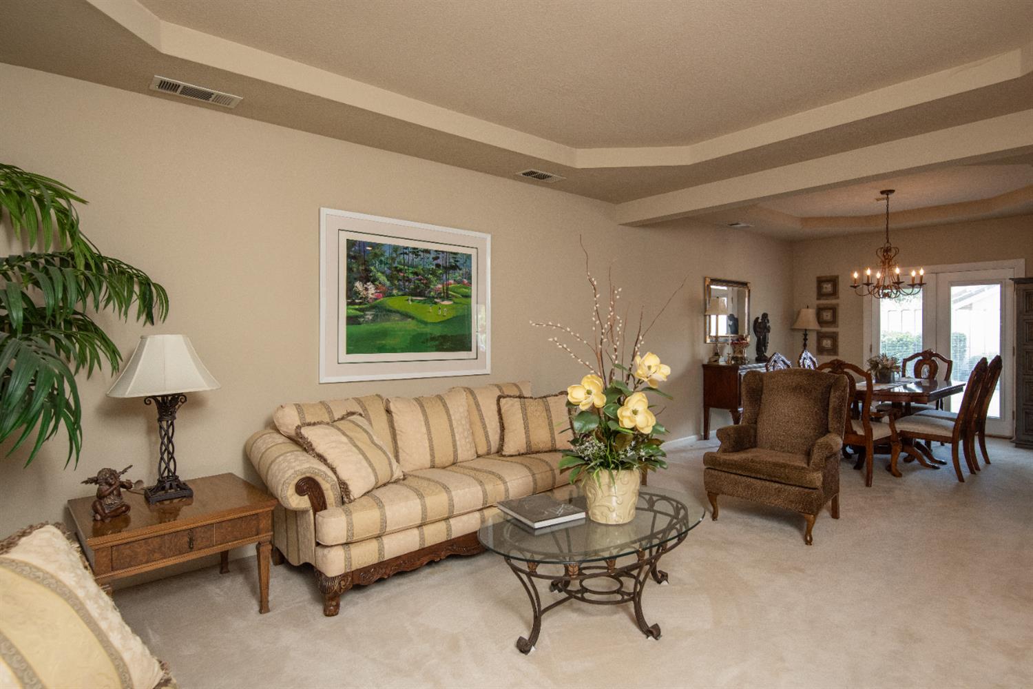 2705 Lake Front Court Modesto, CA 95355 - Photo 6 of 50 a living room with furniture and a potted plant