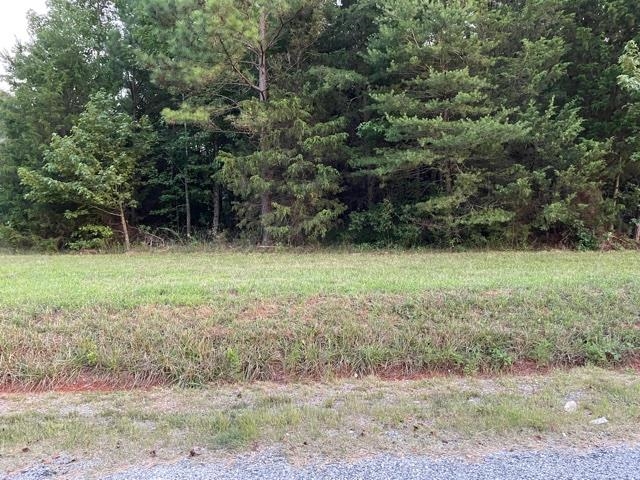 0 Sand Clay Road Chesnee, SC 29323 - Photo 1 of 1