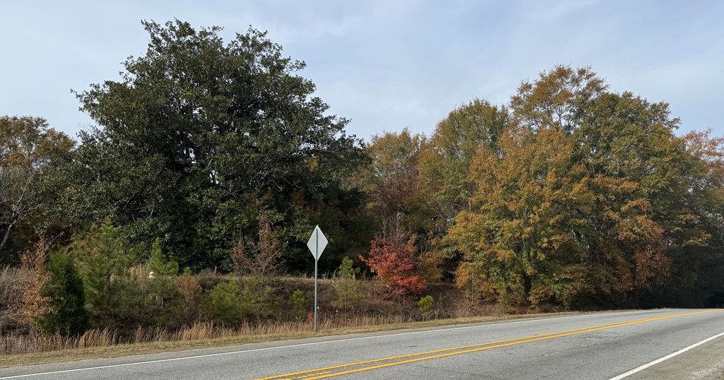 5717 Flat Rock Road Columbus, GA 31907 - Photo 2 of 3