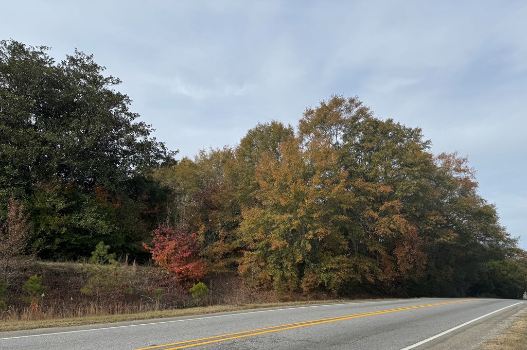 5717 Flat Rock Road Columbus, GA 31907 - Photo 3 of 3