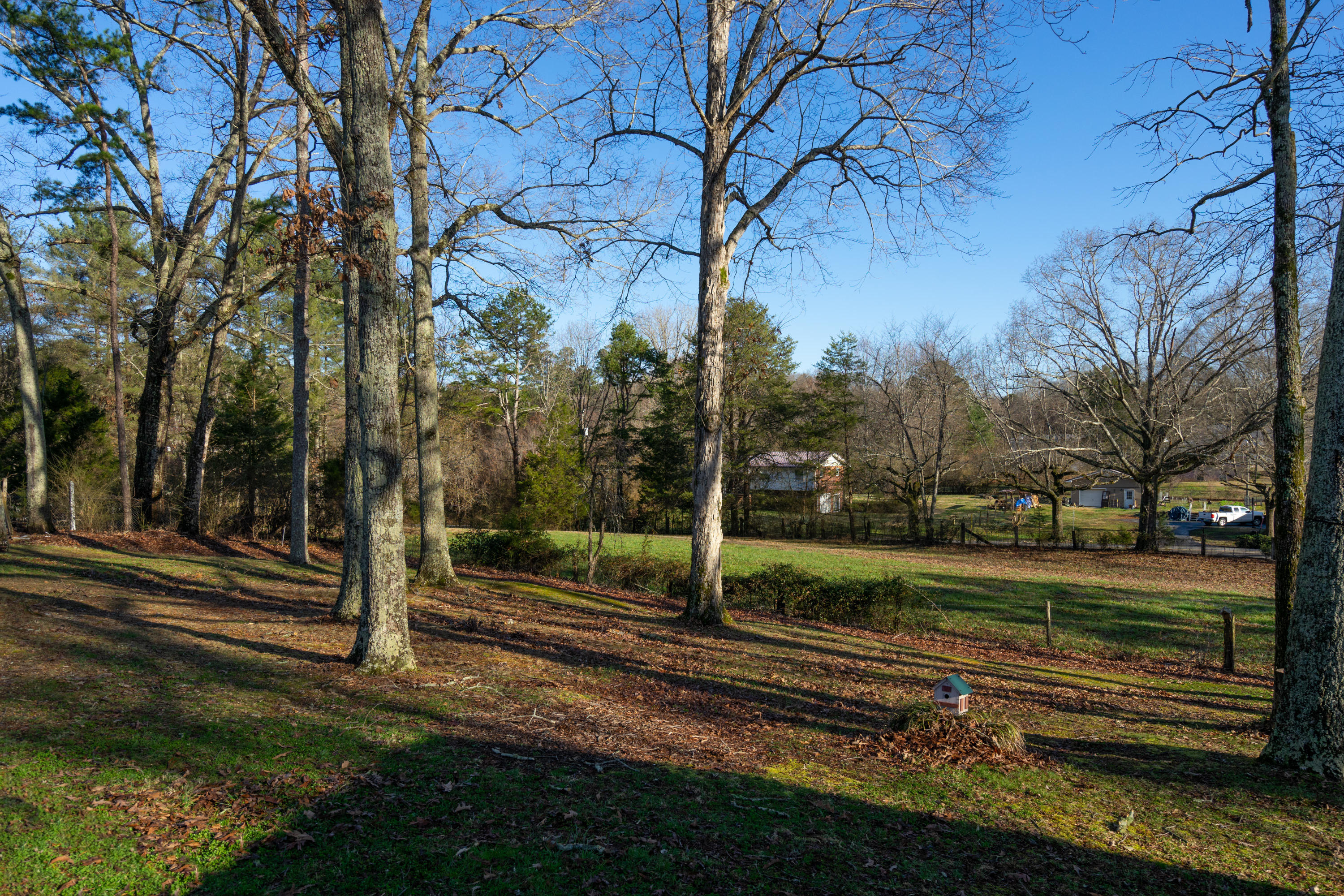 8537 Walnut Road Hixson, TN 37343 - Photo 8 of 33 Walnut 8537 (7 of 33)
