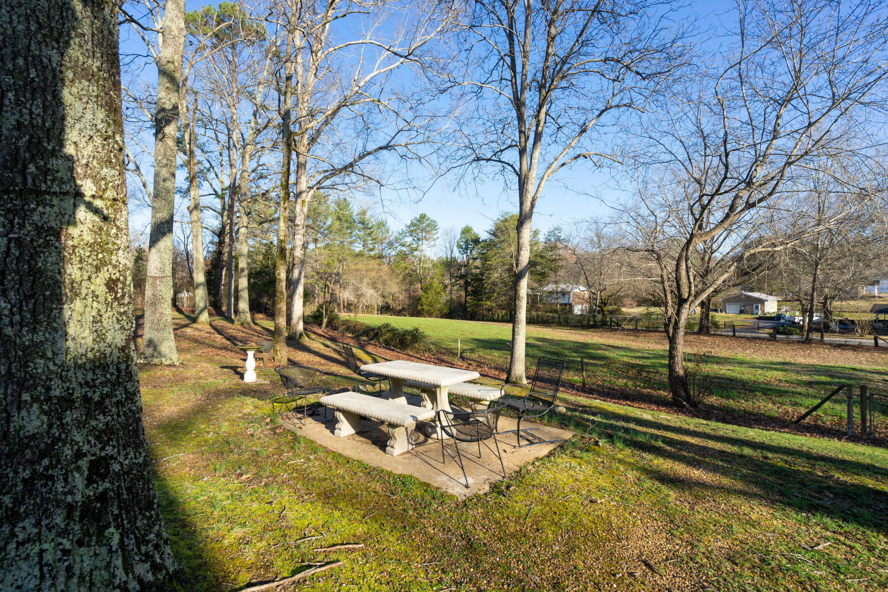 8537 Walnut Road Hixson, TN 37343 - Photo 9 of 33 Walnut 8537 (9 of 33)