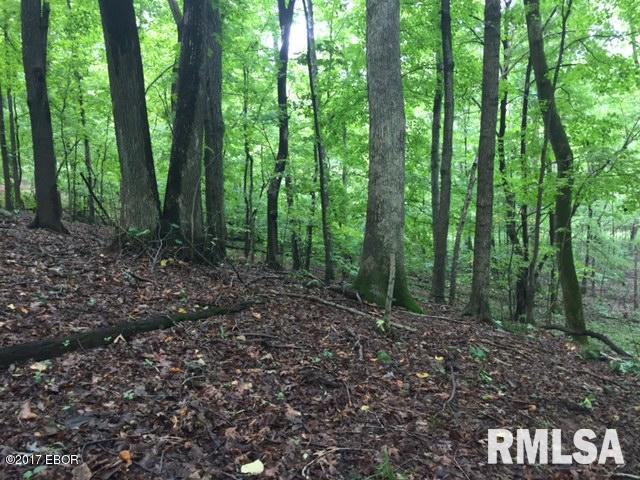 3057 Bundyville Road Walnut Hill, IL 62893 - Photo 36 of 37