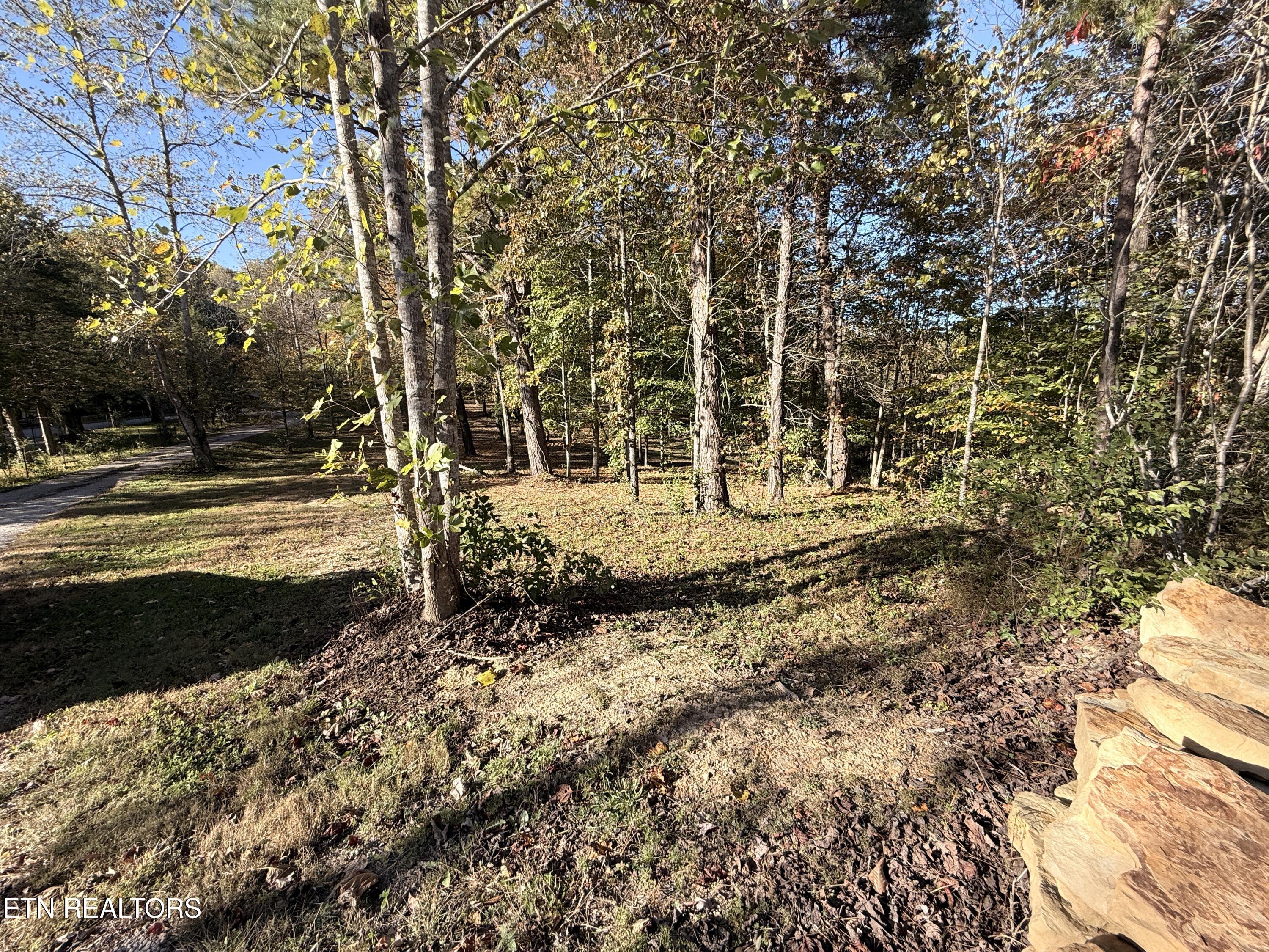 444 Roses Creek Road Clairfield, TN 37715 - Photo 26 of 48 Lower Property