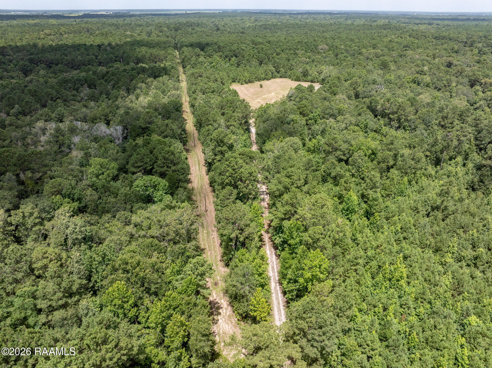301 Crabapple Road Iota, LA 70543 - Photo 31 of 40 31-web-or-mls-DJI_20260630010454_0071_D