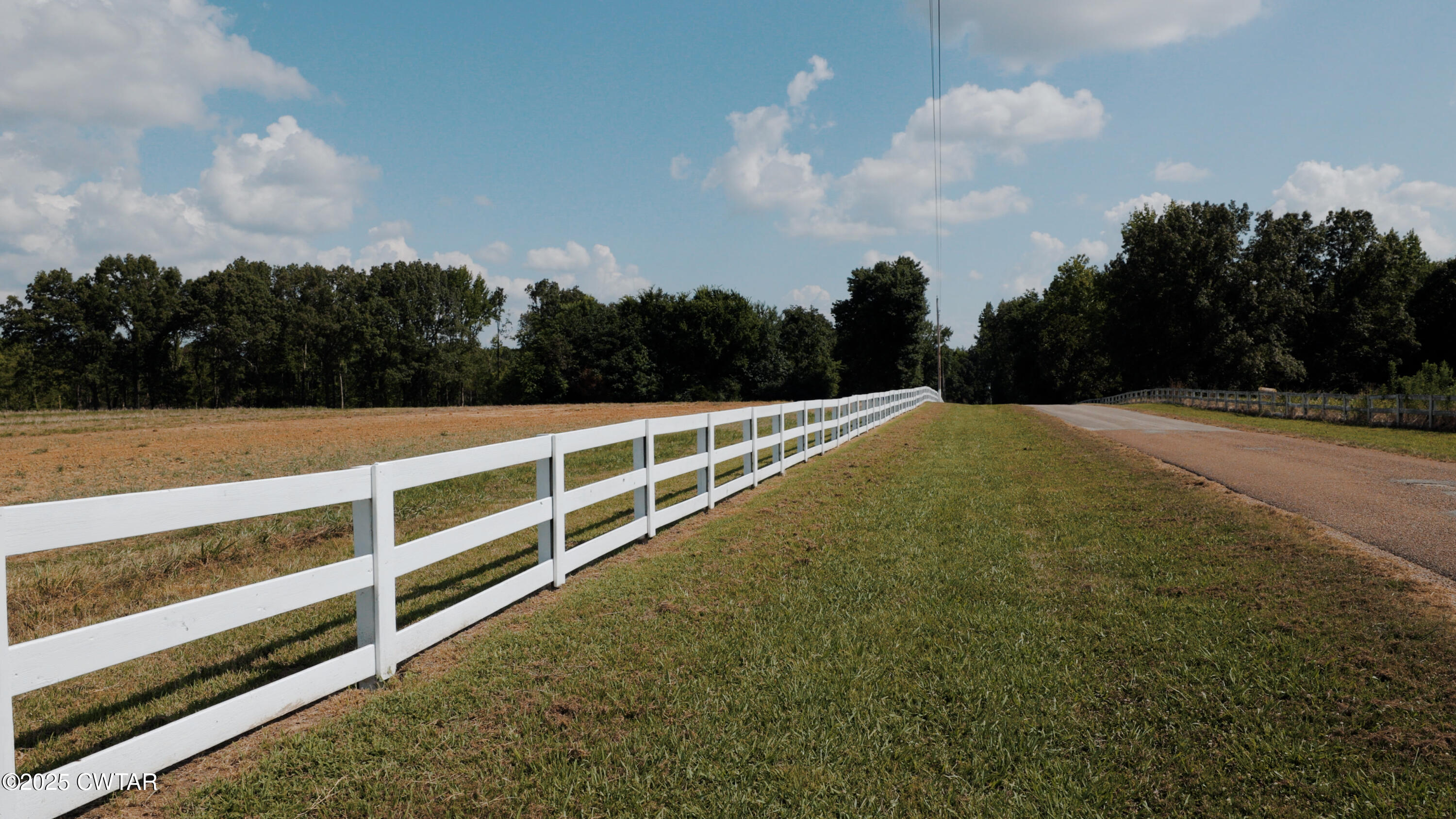 0 Ames Road Hickory Valley, TN 38042 - Photo 13 of 20 a view of an outdoor space and window