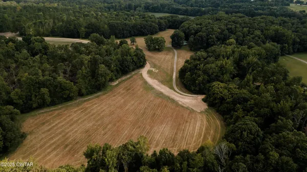 a view of empty field with trees in background