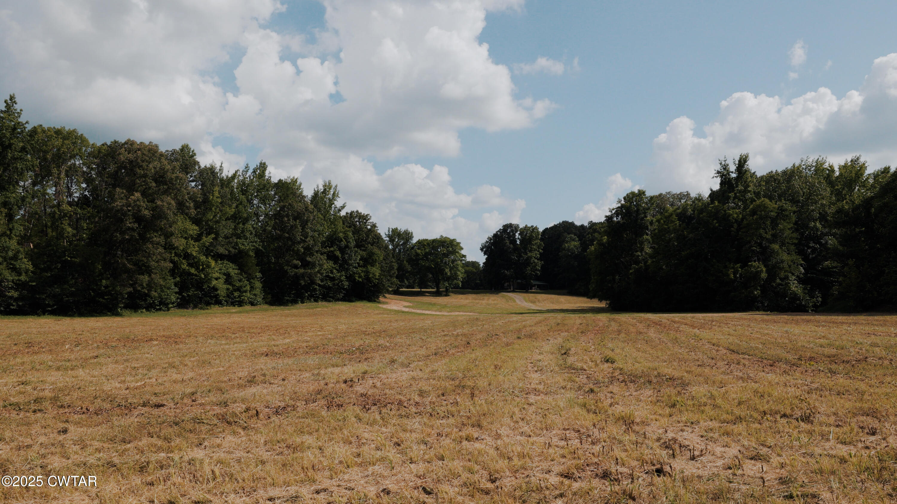 0 Ames Road Hickory Valley, TN 38042 - Photo 16 of 20 a view of empty field with trees in background