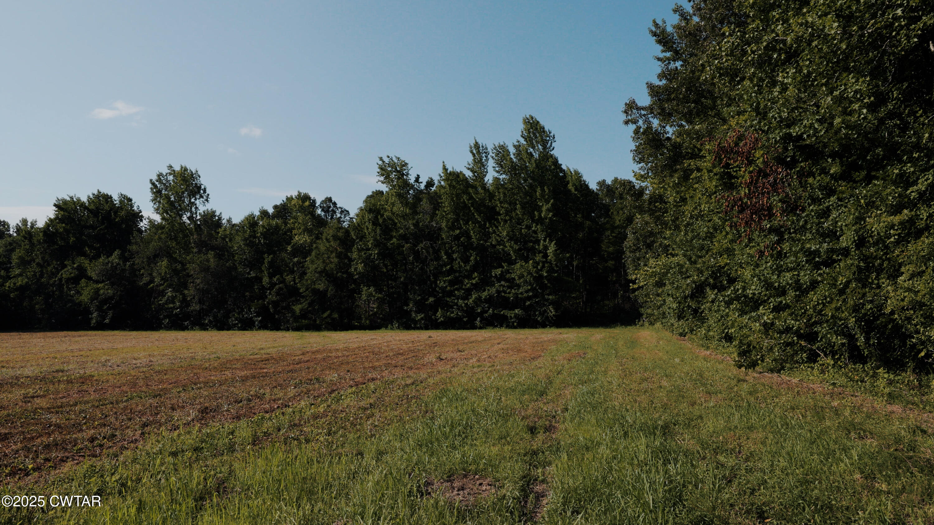 0 Ames Road Hickory Valley, TN 38042 - Photo 17 of 20 a view of an outdoor space and a yard