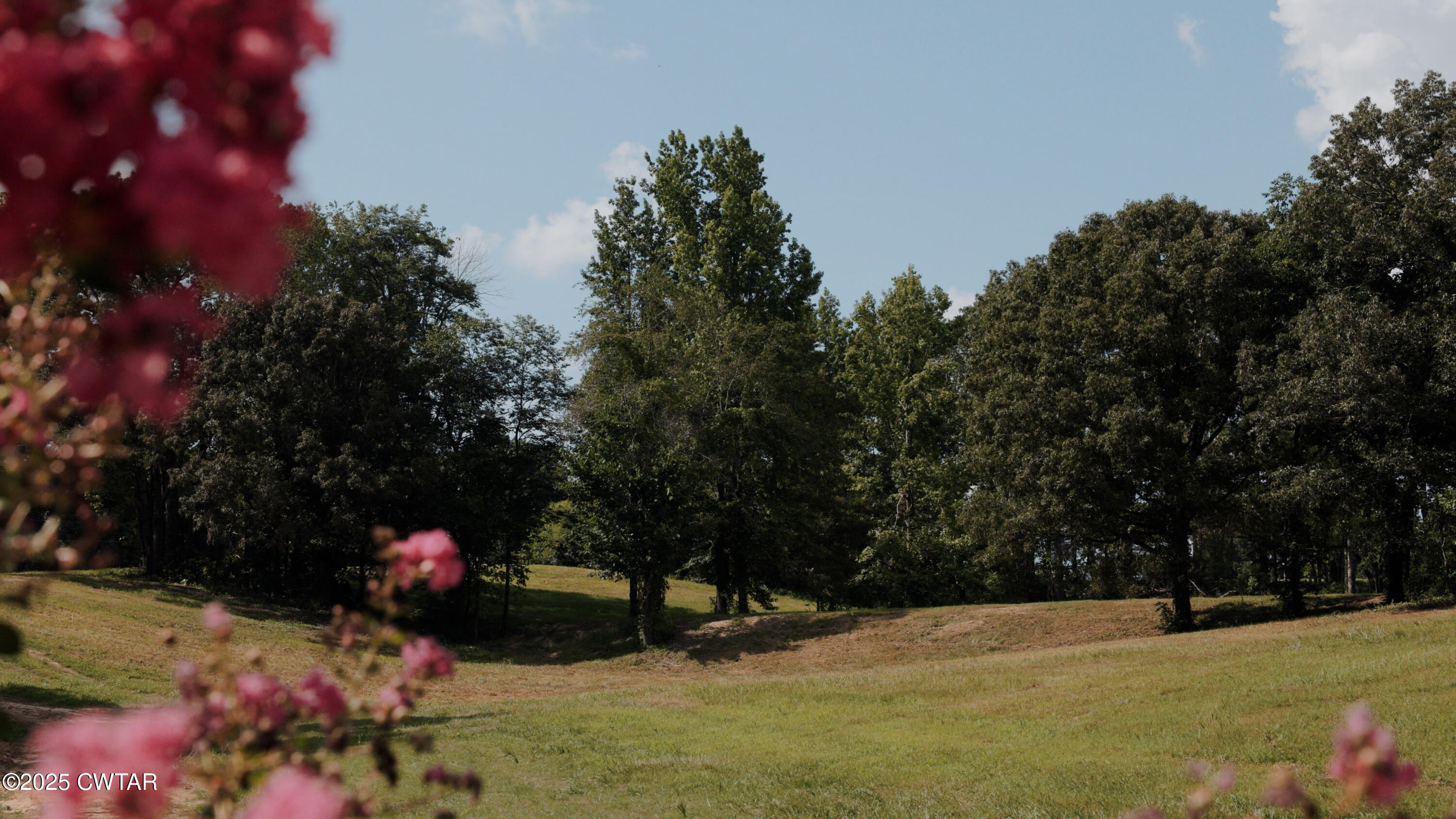 0 Ames Road Hickory Valley, TN 38042 - Photo 19 of 20 a view of a yard