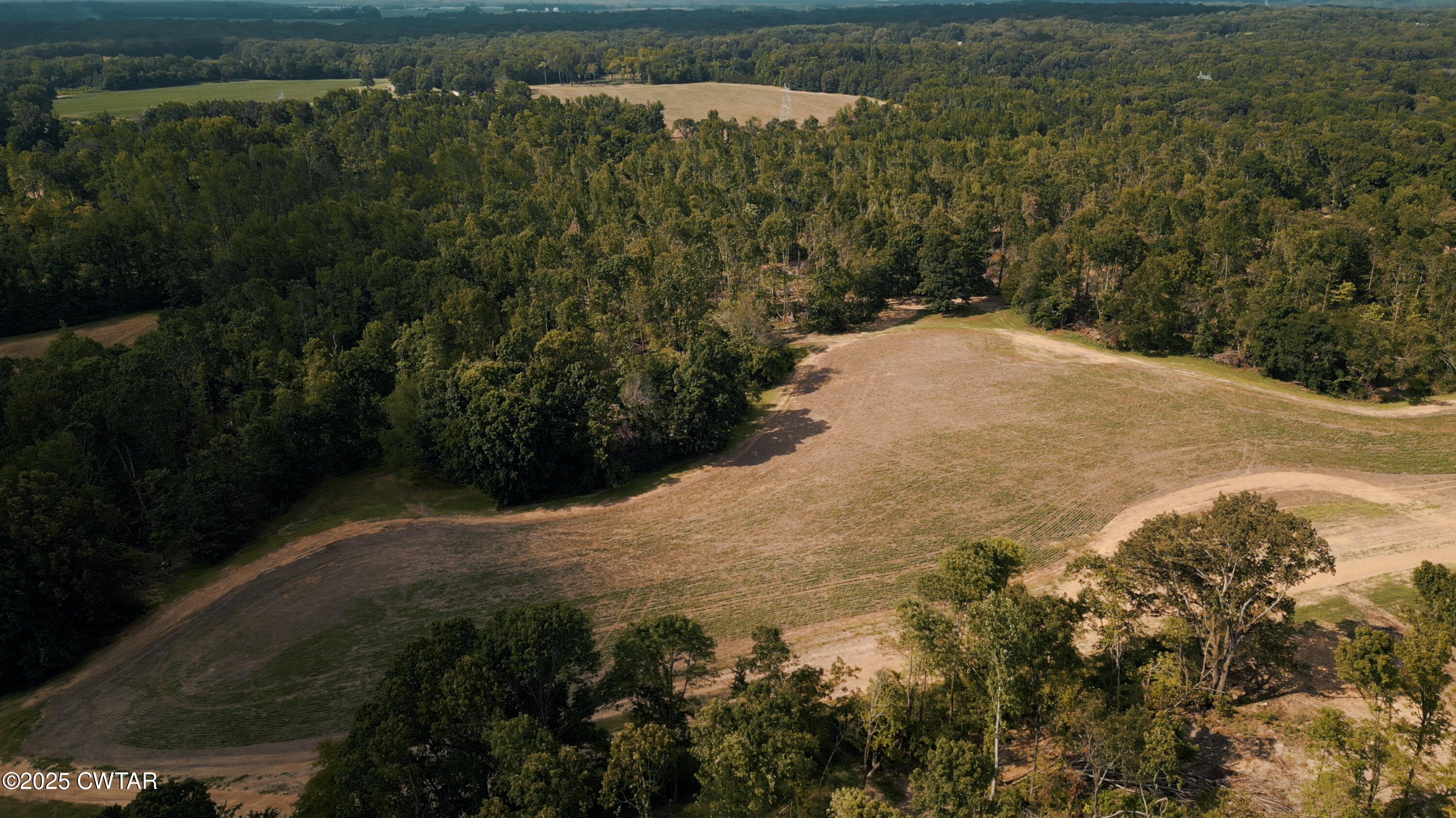 0 Ames Road Hickory Valley, TN 38042 - Photo 3 of 20 a view of a lake with a yard