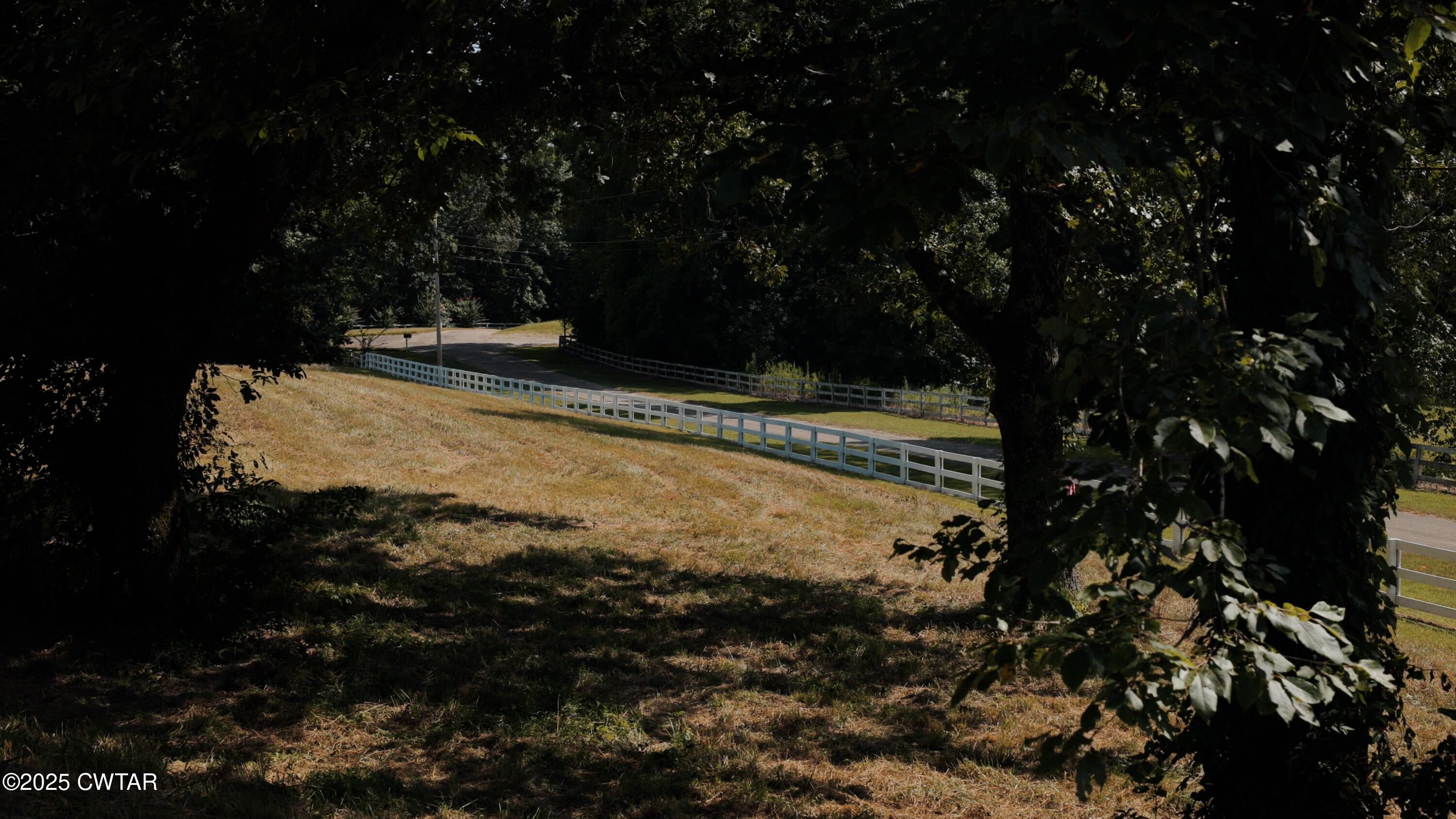 0 Ames Road Hickory Valley, TN 38042 - Photo 5 of 20 a view of a yard with a tree