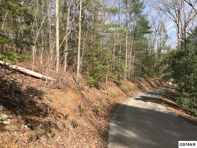 10 Reed Ridge Road Gatlinburg, TN 37738 - Photo 8 of 8