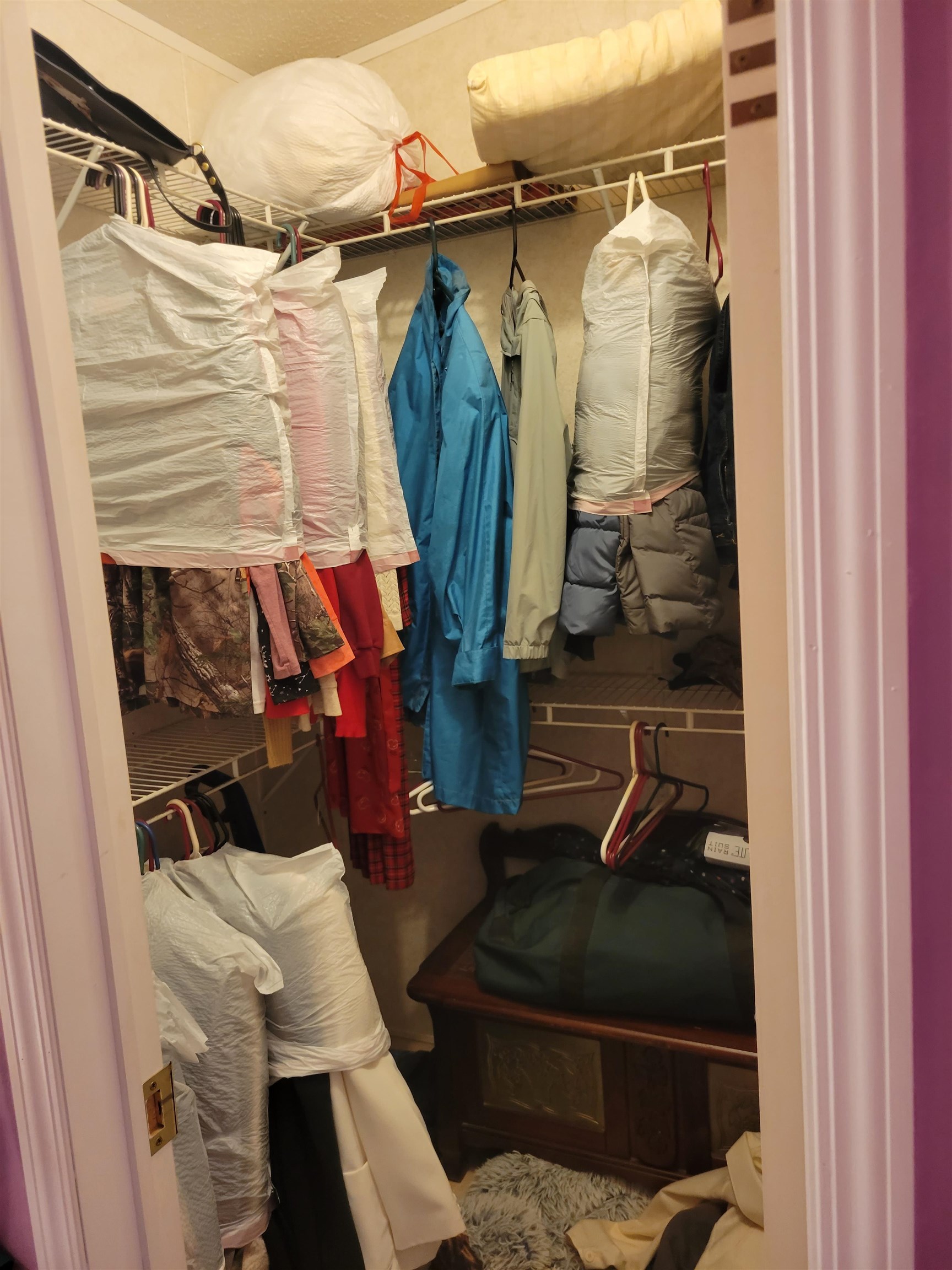 2496 Detroit Road Burlison, TN 38015 - Photo 16 of 25 View of walk in closet