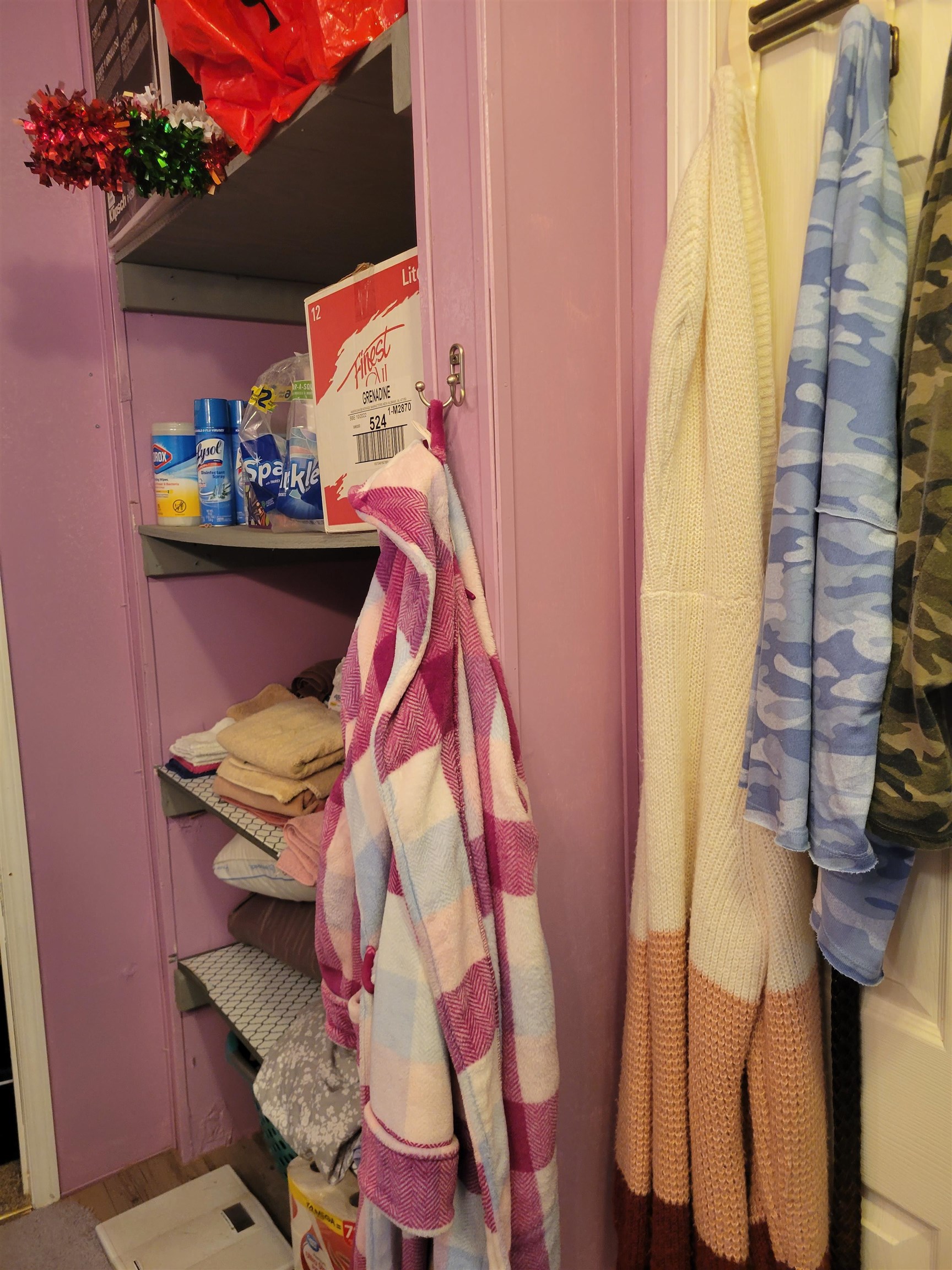 2496 Detroit Road Burlison, TN 38015 - Photo 18 of 25 View of closet