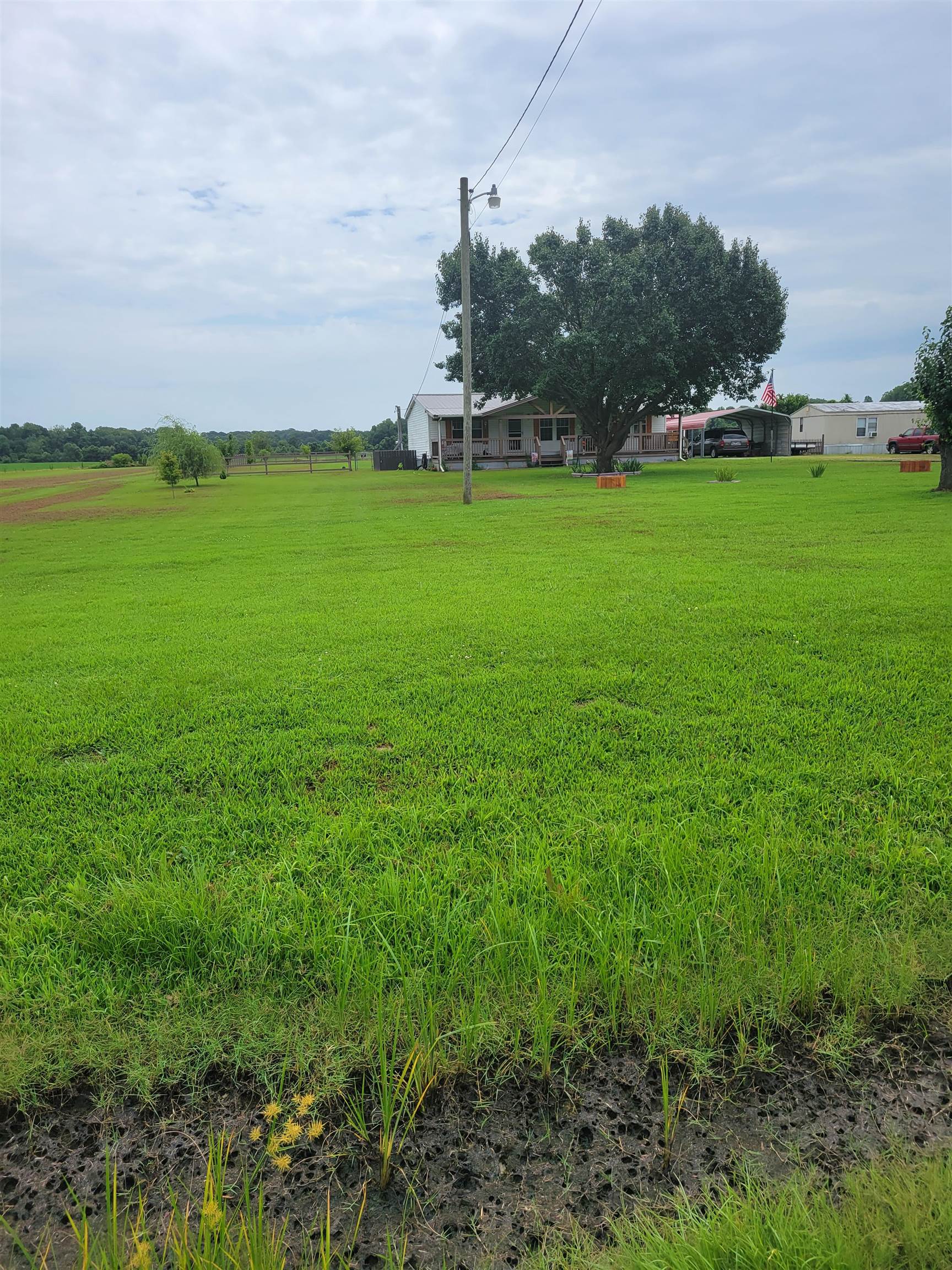 2496 Detroit Road Burlison, TN 38015 - Photo 5 of 25 View of green lawn