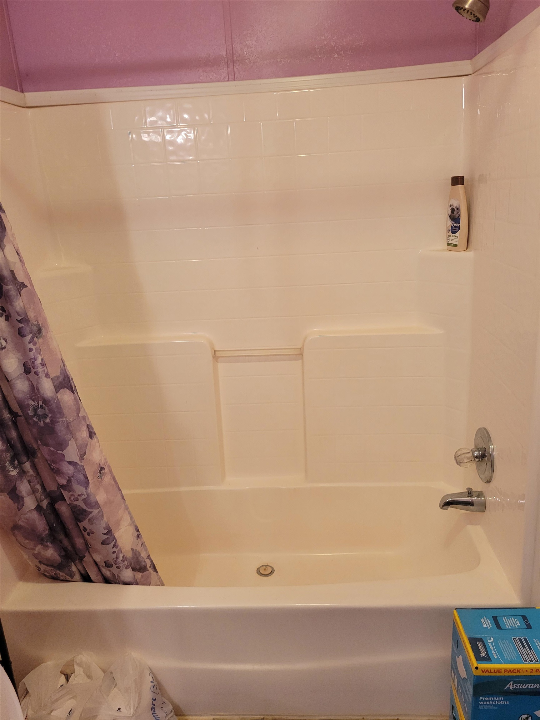 2496 Detroit Road Burlison, TN 38015 - Photo 10 of 25 Bathroom with shower / bath combo with shower curtain