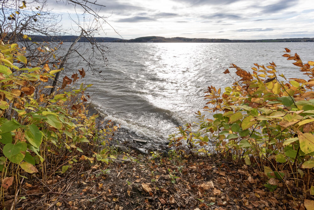 12 Sugartree Road St. David, ME 04773 - Photo 121 of 121 _NIK3479