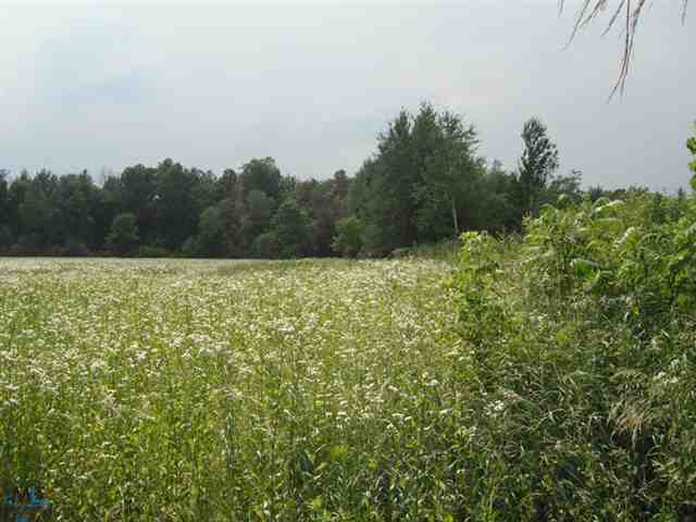 7675 Bean Road Avoca, MI 48006 - Photo 7 of 19 31108421-6.JPG