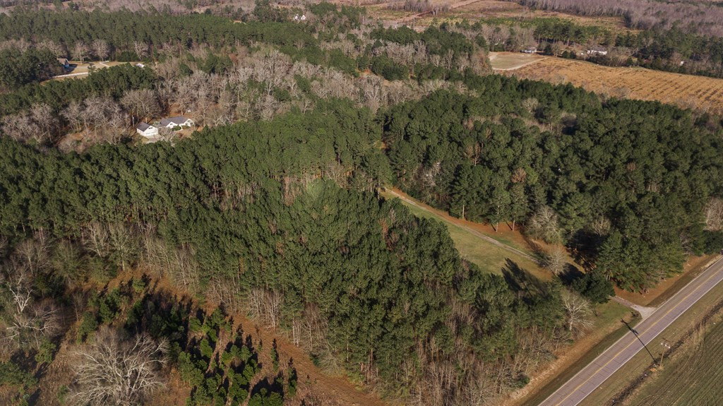 1115 Galilee Road Barnwell, SC 29812 - Photo 3 of 26