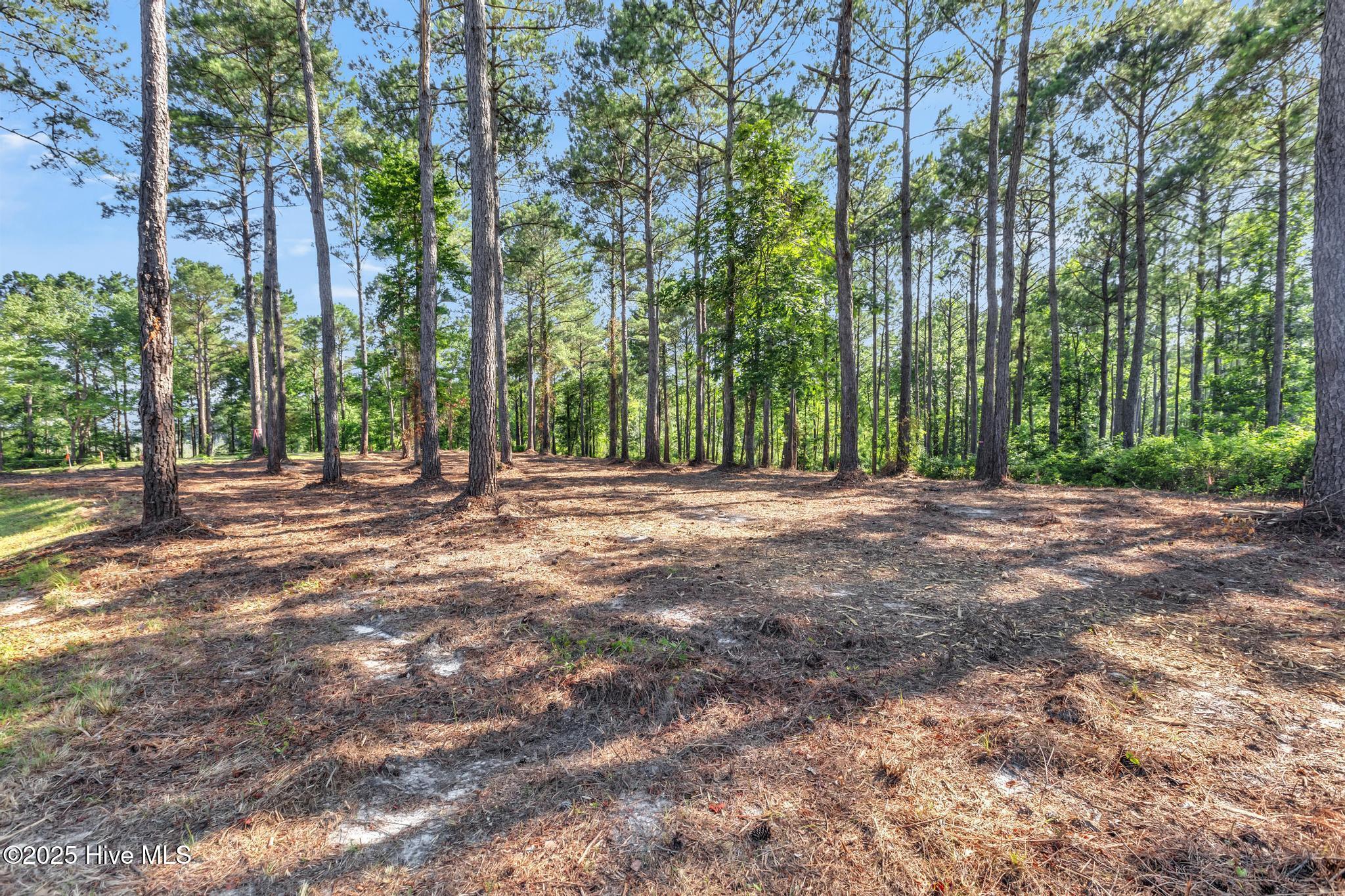 218 Alderman Landing Road Holly Ridge, NC 28445 - Photo 11 of 15 IMG_5603