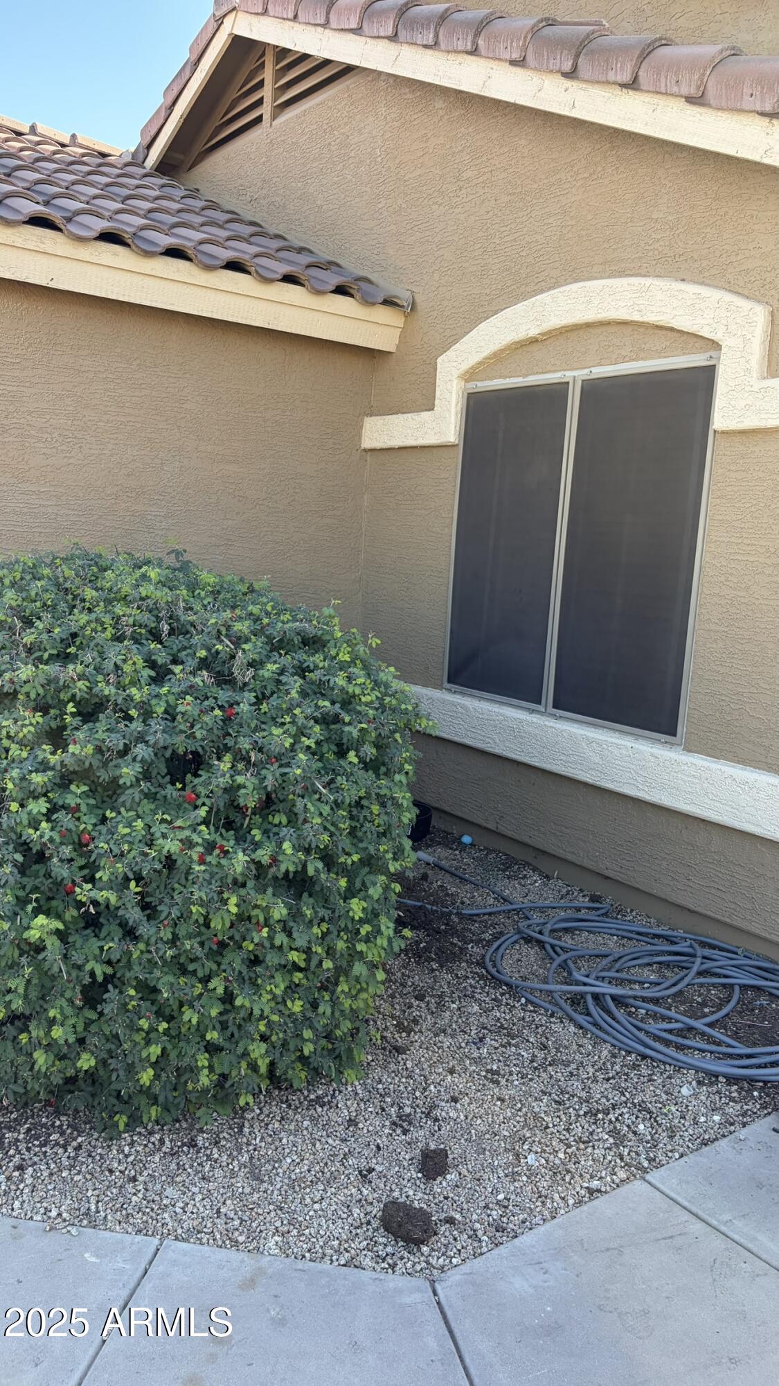 6419 West Watkins Street Phoenix, AZ 85043 - Photo 11 of 59 IMG_1058