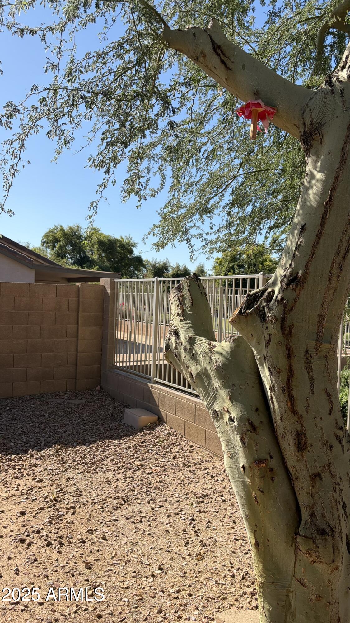 6419 West Watkins Street Phoenix, AZ 85043 - Photo 52 of 59 IMG_1051
