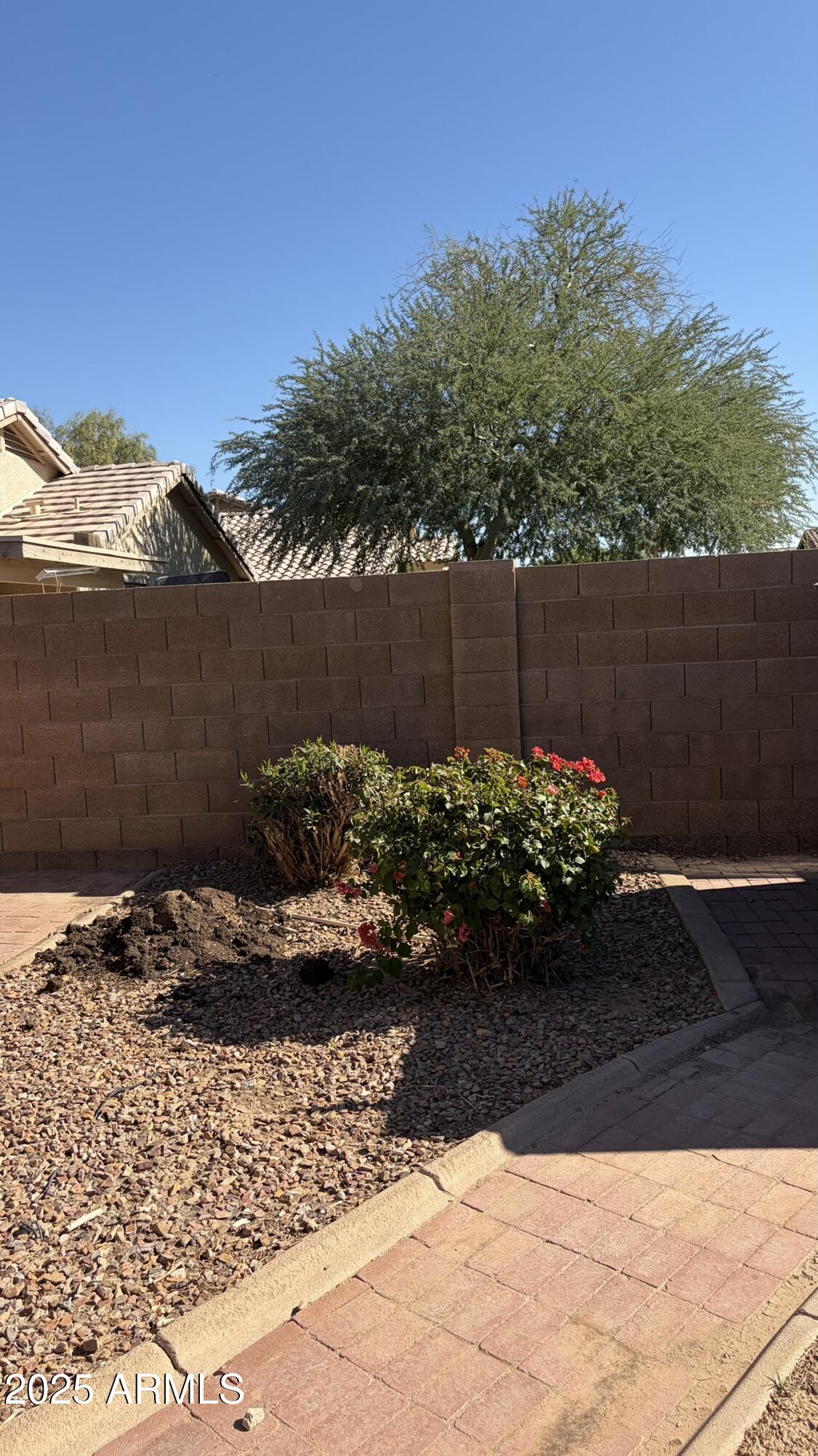 6419 West Watkins Street Phoenix, AZ 85043 - Photo 57 of 59 IMG_1054