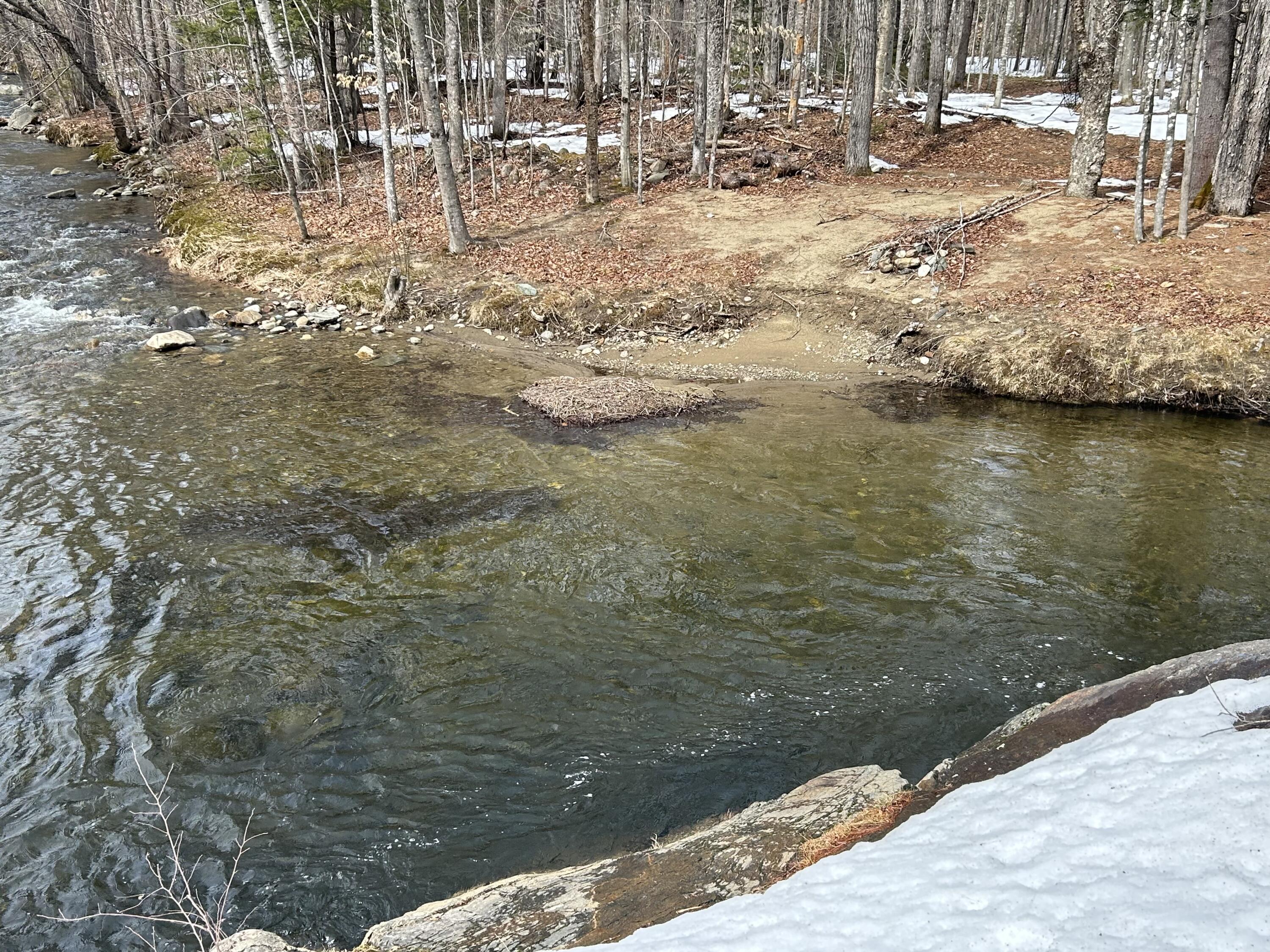58 Jenkins Road Temple, ME 04984 - Photo 22 of 26