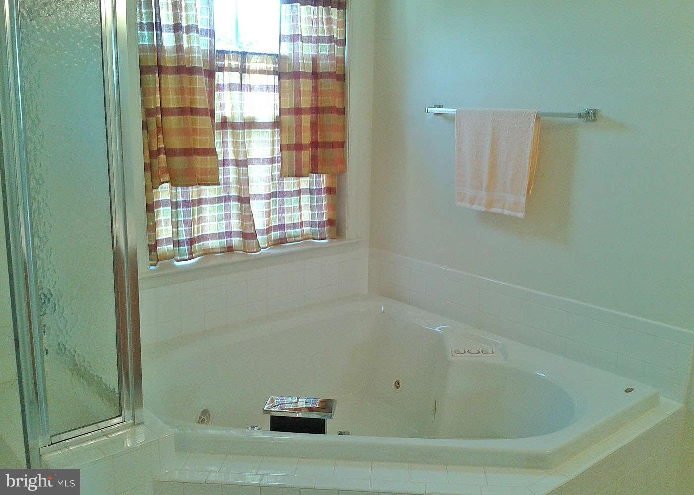 3807 Misty Hollow Point of Rocks, MD 21777 - Photo 18 of 24 Bath (Master)