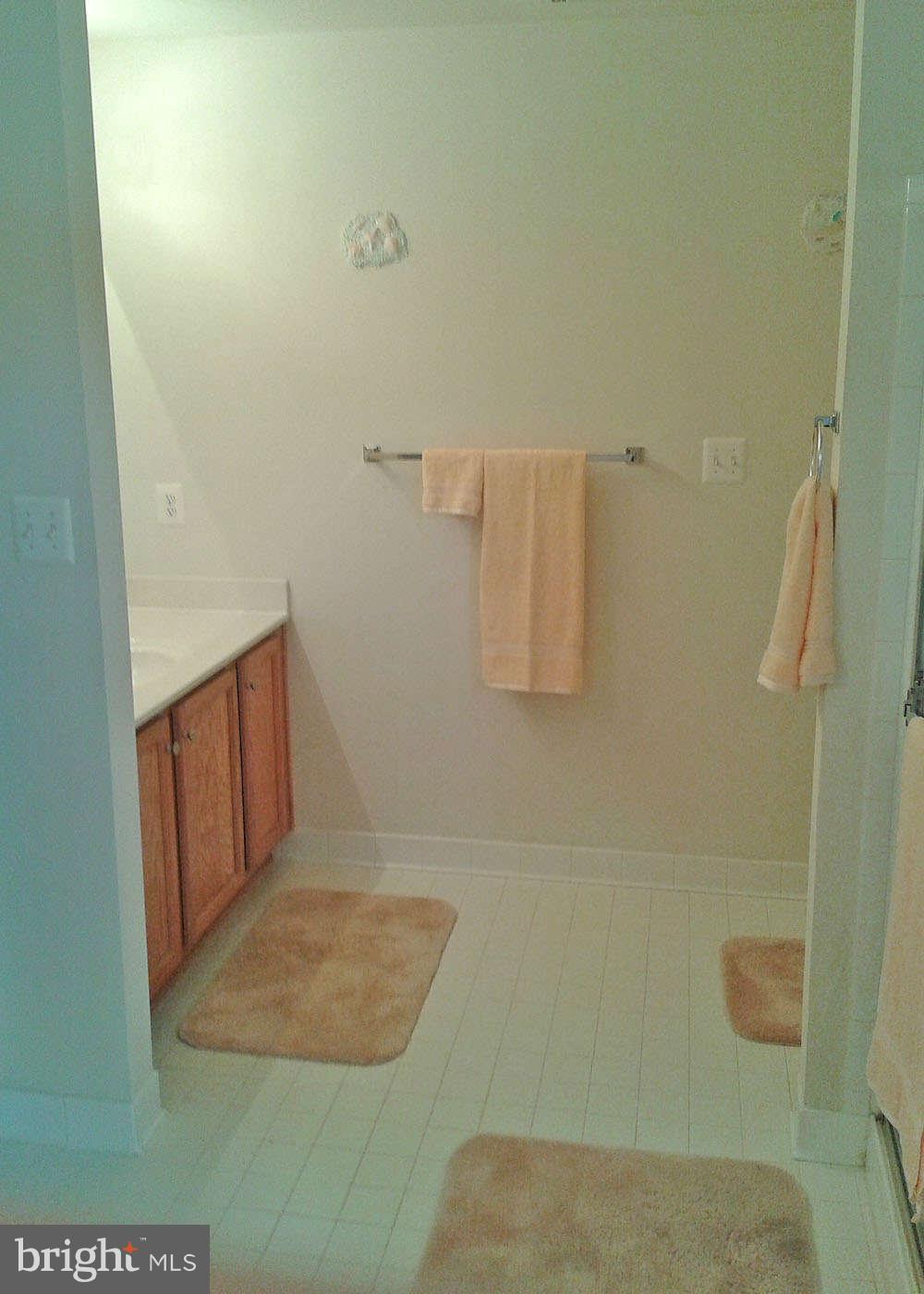 3807 Misty Hollow Point of Rocks, MD 21777 - Photo 20 of 24 Bath (Master)